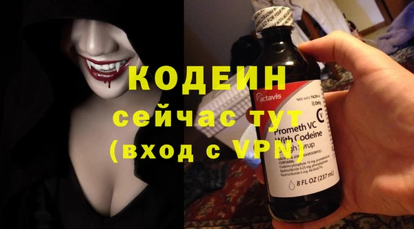 хмурый Дмитровск