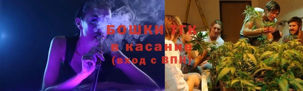 круглые Ельня