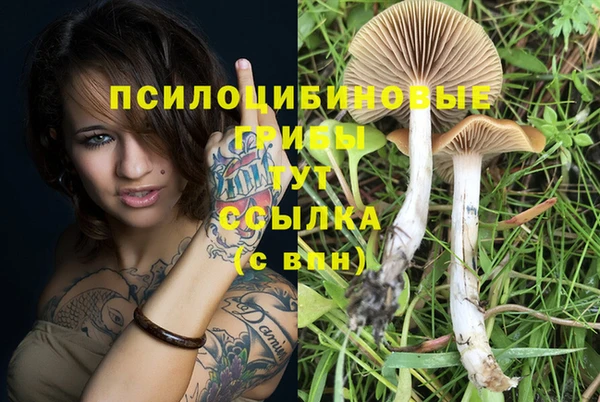 хмурый Дмитровск