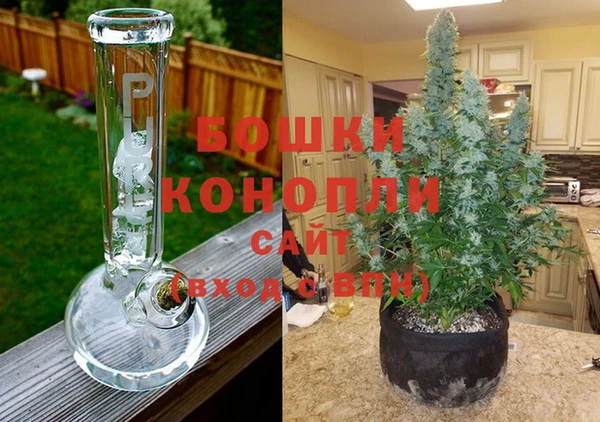 круглые Ельня