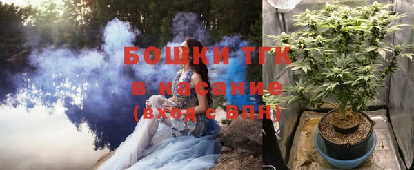 хмурый Дмитровск